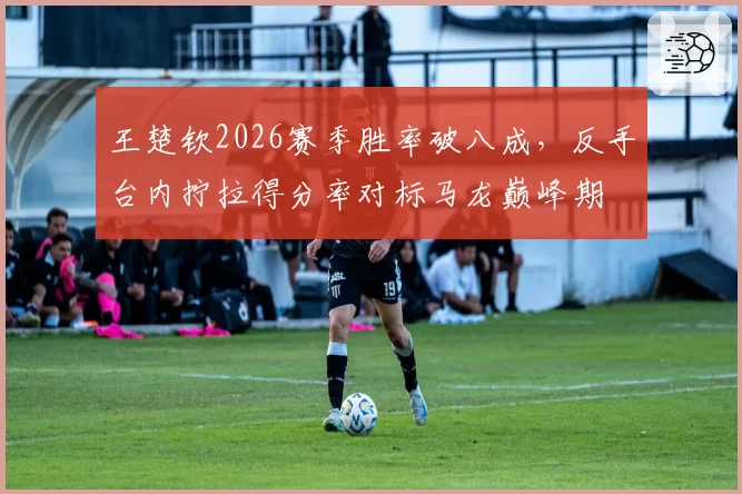 王楚钦2026赛季胜率破八成，反手台内拧拉得分率对标马龙巅峰期