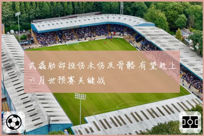 武磊肋部挫伤未伤及骨骼 有望赶上六月世预赛关键战