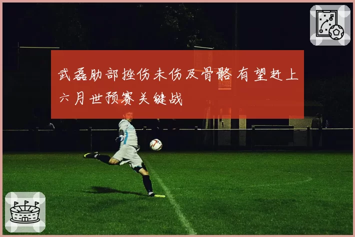 武磊肋部挫伤未伤及骨骼 有望赶上六月世预赛关键战